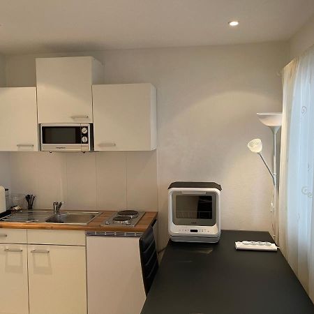 City Apartments Bad Säckingen Esterno foto